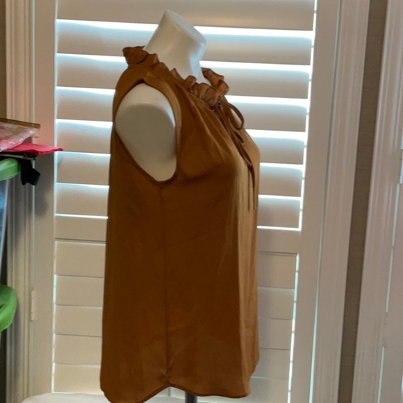 Elegant Ruffled Sleeveless Blouse - Brown - Picture 3 of 8